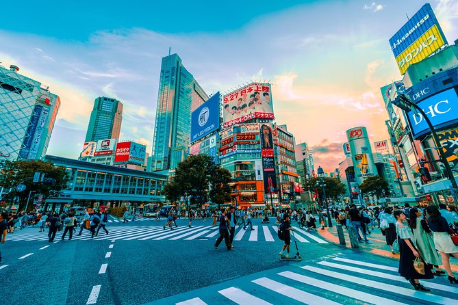 Tokyo Private Full-Day Tour by Car or Van - Odaiba: an optional finish by Tokyo Bay
