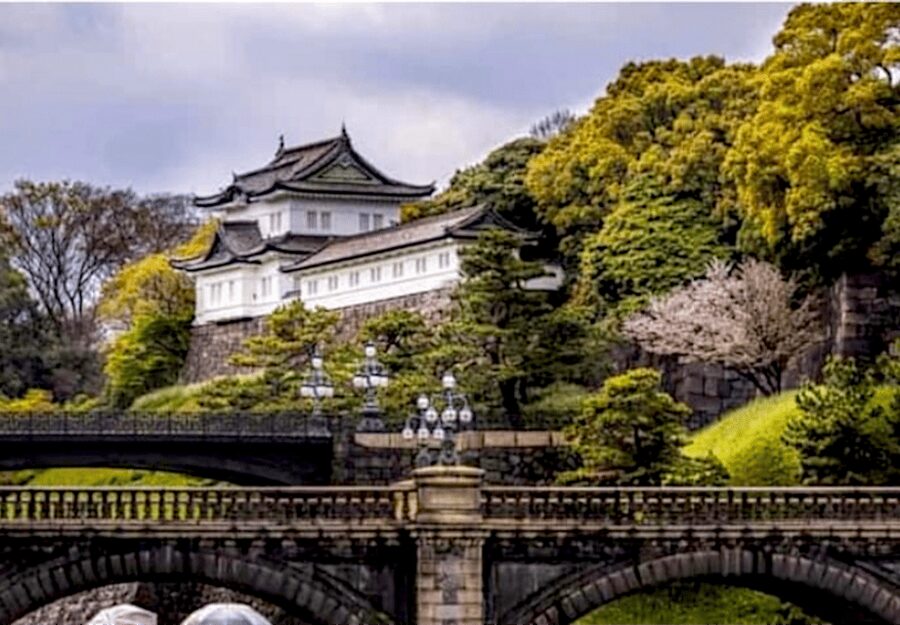 Tokyo: Private Guided Tour with Hotel Pickup and Drop-off - Why a private car works well in Tokyo