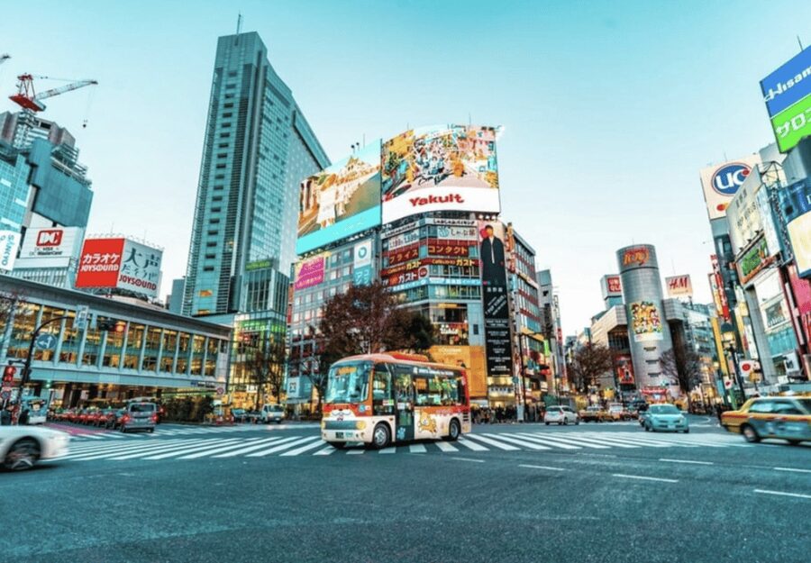 Tokyo: Private Guided Tour with Hotel Pickup and Drop-off - Senso-ji and Asakusa: Tokyo’s most welcoming historic stop