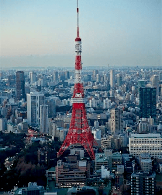Tokyo: Private Guided Tour with Hotel Pickup and Drop-off - Tokyo Skytree: big views, possible queues