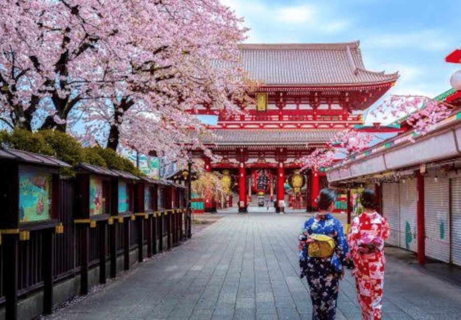Tokyo: Private Guided Tour with Hotel Pickup and Drop-off - Meiji Shrine and Harajuku: quiet paths beside youth culture