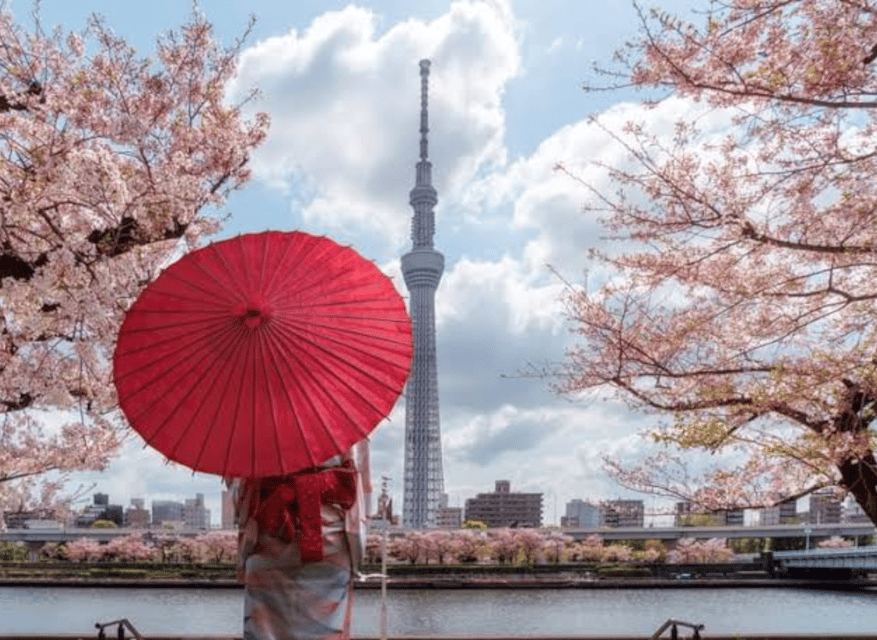Tokyo: Private Guided Tour with Hotel Pickup and Drop-off - Shibuya and Harajuku: famous sights with limited time