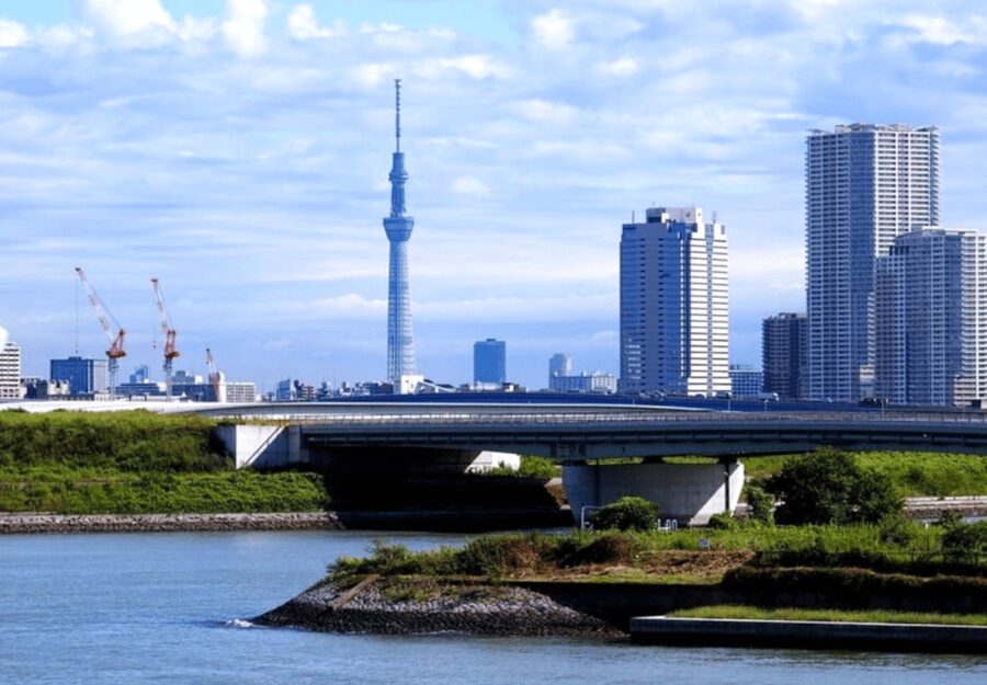 Tokyo: Private Guided Tour with Hotel Pickup and Drop-off - Odaiba: a modern finale by Tokyo Bay