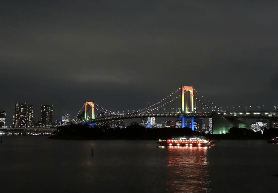 Tokyo: Private Guided Tour with Hotel Pickup and Drop-off - What the guide actually adds