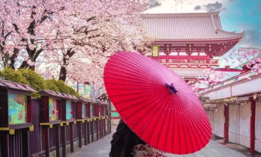 Tokyo: Private Guided Tour with Hotel Pickup and Drop-off - Tsukiji Outer Market: start with food and street life