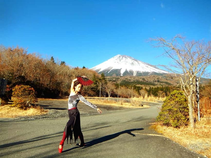 Tokyo: Private Mt. Fuji Luxury Day Tour – Fully Customizable - Why a private Mt. Fuji day makes sense from Tokyo