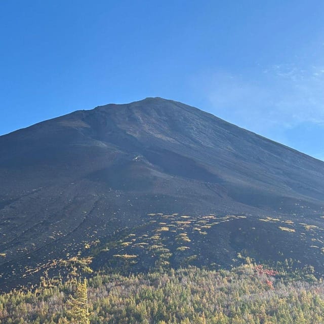 Tokyo: Private Mt. Fuji Luxury Day Tour – Fully Customizable - Hakone options: Lake Ashi, shrine, ropeway, and museum