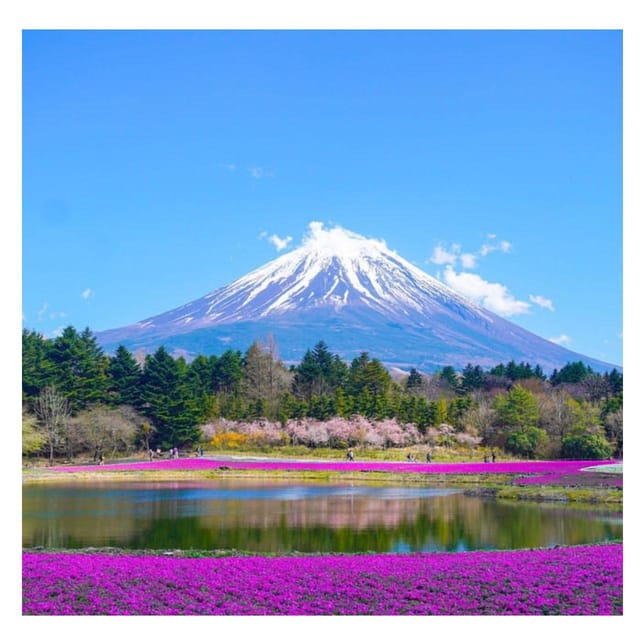 Tokyo: Private Mt. Fuji Luxury Day Tour – Fully Customizable - Gotemba Premium Outlets as a change of plan