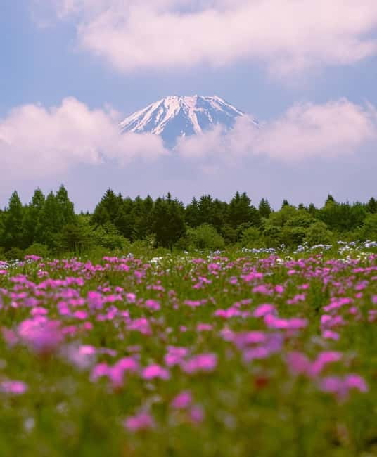 Tokyo: Private Mt. Fuji Luxury Day Tour – Fully Customizable - Chureito Pagoda: the famous five-story Fuji view