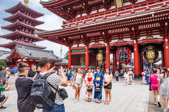 Tokyo Private Sightseeing Tour by Car- English speaking chauffeur - Why a private car makes sense in Tokyo