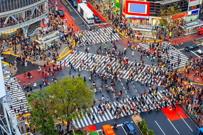 Tokyo Private Sightseeing Tour by Car- English speaking chauffeur - The Imperial Palace needs realistic expectations