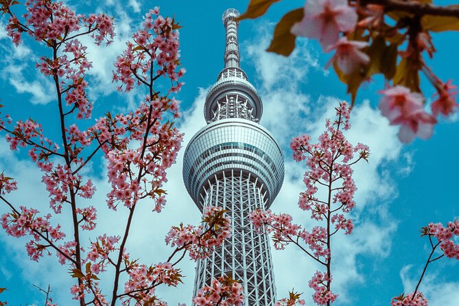 Tokyo Private Sightseeing Tour by Car- English speaking chauffeur - Odaiba adds space, water, and a long drive