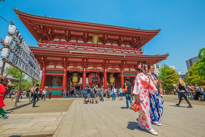 Tokyo Private Tour by Vehicle with English-Speaking Chauffeur - A private vehicle changes the pace of Tokyo sightseeing
