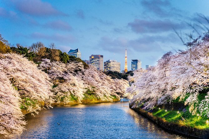 Tokyo Private Tour by Vehicle with English-Speaking Chauffeur - Tokyo Skytree supplies the big city view