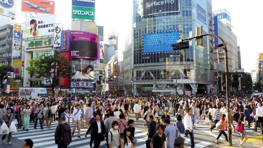 Tokyo: Private Walking Tour with a Local - Key points at a glance