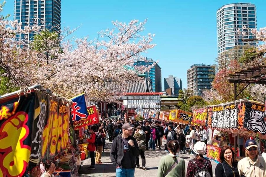 Tokyo: Private Walking Tour with a Local Guide - Ueno and Ameya-Yokocho: food, shopping, and local movement
