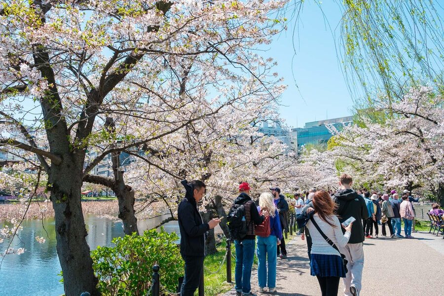 Tokyo: Private Walking Tour with a Local Guide - Meiji Shrine: a quieter spiritual pause