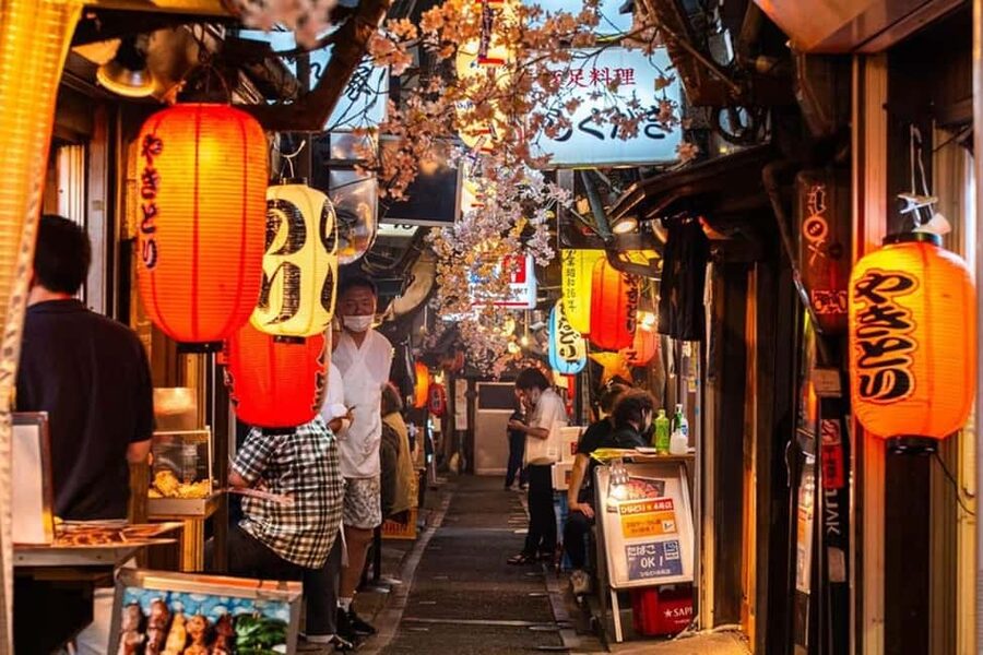 Tokyo: Private Walking Tour with a Local Guide - What the guides add to Tokyo