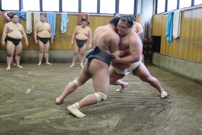 Tokyo Ryogoku Sumo Morning Practice + Photo Shoot with Wrestlers - Key points before you book