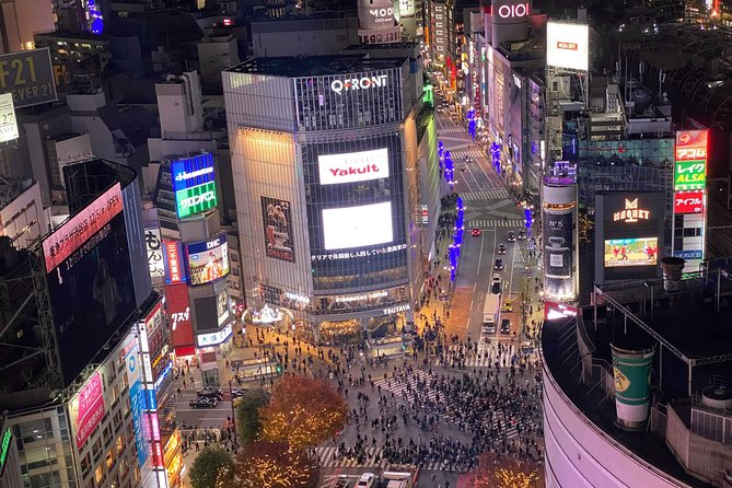 Tokyo: Shibuya Highlights Walking Tour - Finding the best view of the crossing