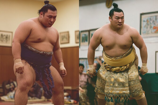 Tokyo Shinjuku Sumo Show & Experience with Photo - What happens inside the Shinjuku Sumo Club