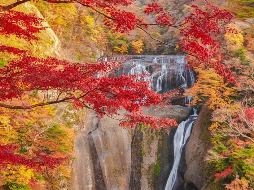 Tokyo: Spring Hitachi Seaside & Ashikaga Flower Park Tour - Mibu Michi no Eki: a short food and character stop