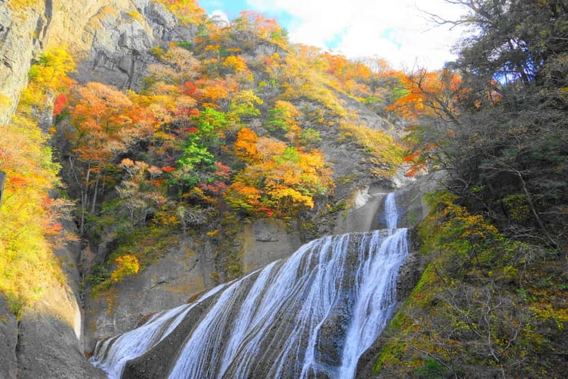 Tokyo: Spring Hitachi Seaside & Ashikaga Flower Park Tour - Who will get the most from this tour