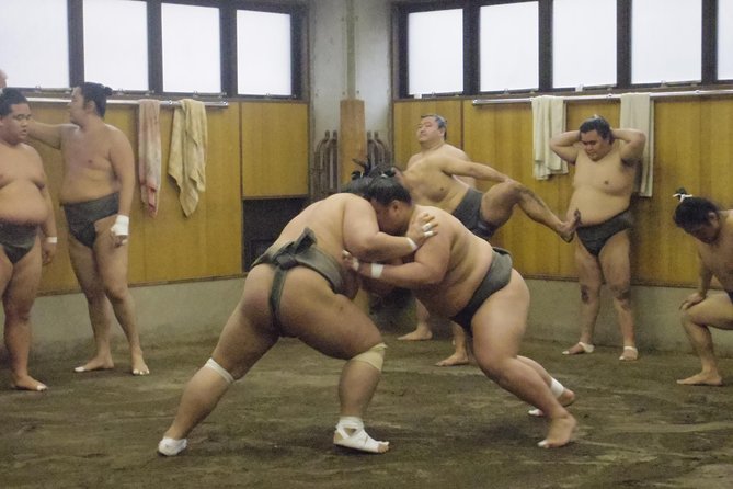 Tokyo Sumo Morning Practice Tour at Stable - Why a morning stable visit feels different