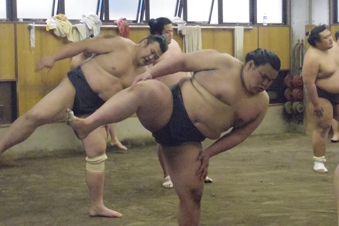 Tokyo Sumo Morning Practice Tour at Stable - Watching the wrestlers train at close range