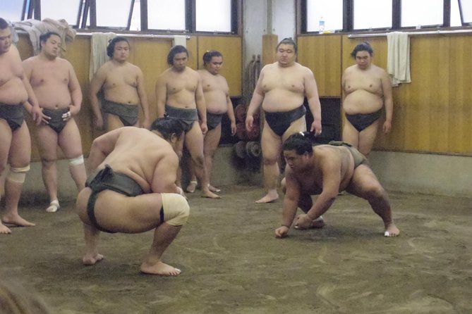 Tokyo Sumo Morning Practice Tour at Stable - Is the $83.57 price fair?