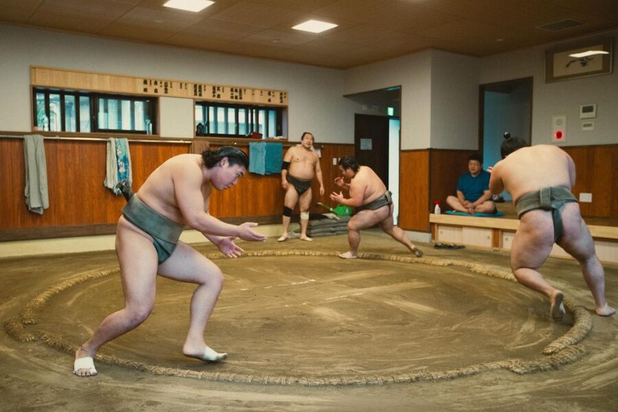 Tokyo: Sumo Morning Practice Tour at Sumida City - Ninety minutes of hard, repetitive training