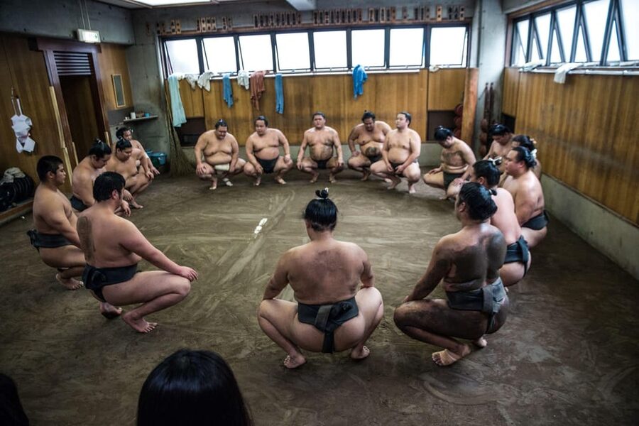 Tokyo: Sumo Morning Practice Viewing Tour - Who should book this experience?