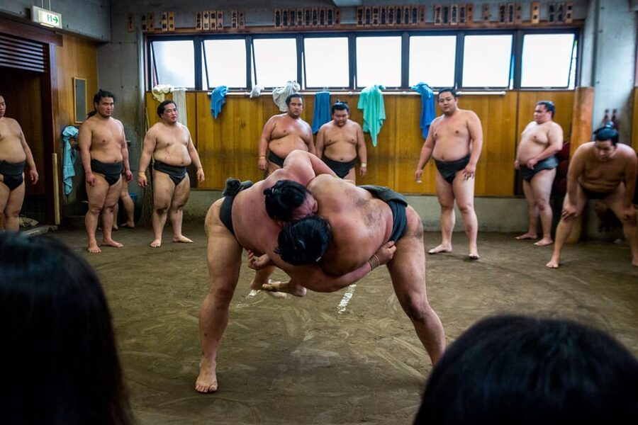 Tokyo: Sumo Morning Practice Viewing Tour - Why this is different from watching a sumo tournament