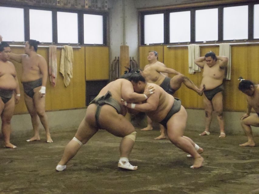 Tokyo: Sumo Morning Practice Viewing Tour - Inside a real sumo stable