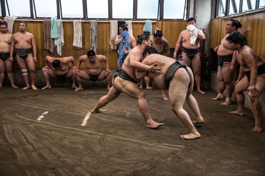 Tokyo: Sumo Morning Practice Viewing Tour - The guide’s role before and after practice