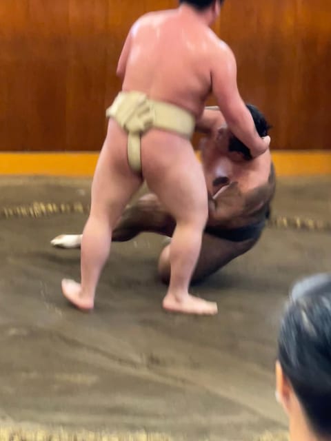 Tokyo: Sumo Morning Practice with Photo Banzuke and Guide - Key points to know before booking
