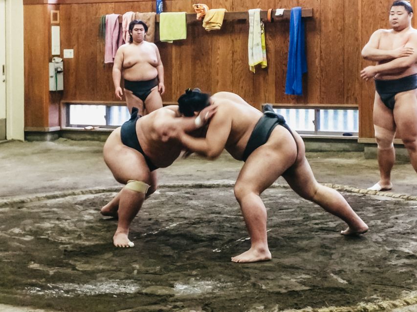 Tokyo: Sumo Morning Training Visit - The training is the show