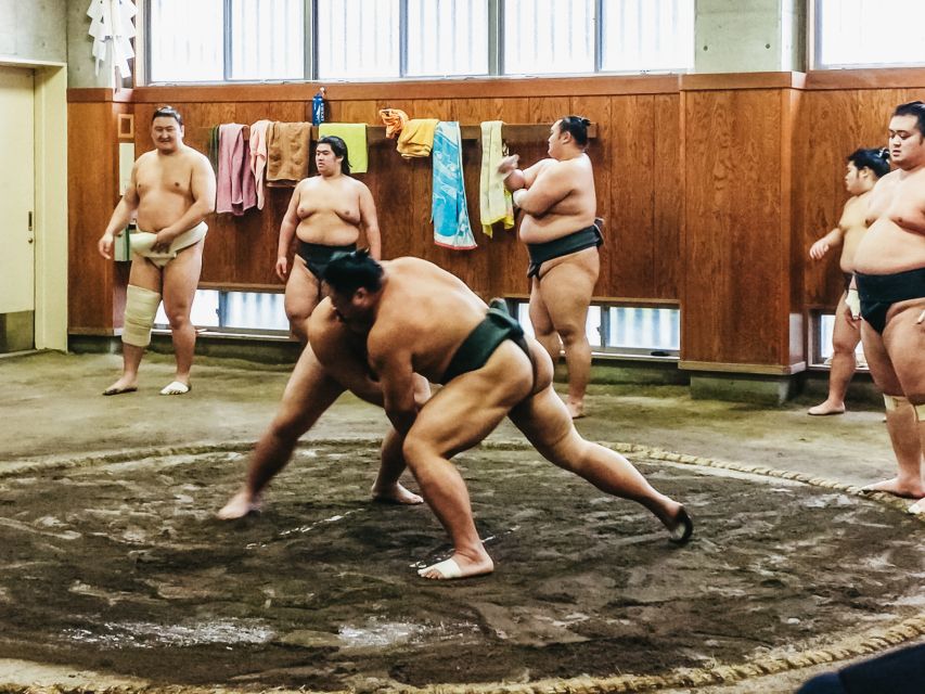 Tokyo: Sumo Morning Training Visit - Seating, sightlines, and comfort