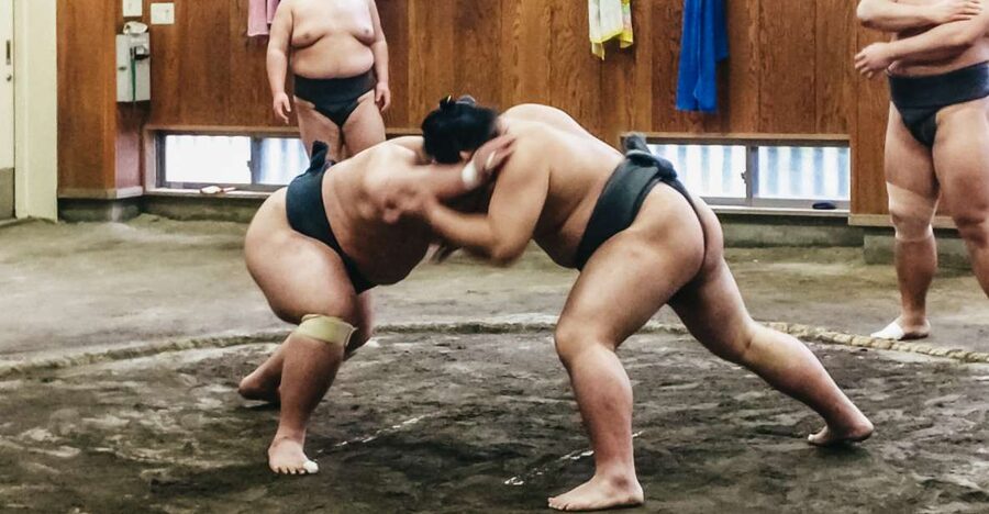 Tokyo: Sumo Morning Training Visit - What the one-hour visit really looks like