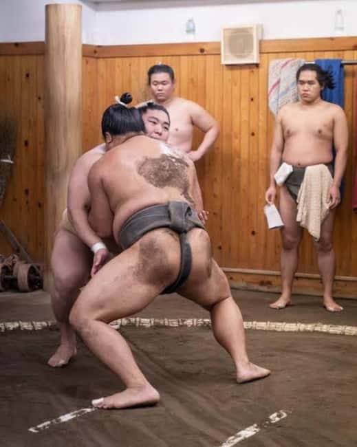 Tokyo: Sumo Show and Experience in Shinjuku - The opening lesson: rituals before the clash