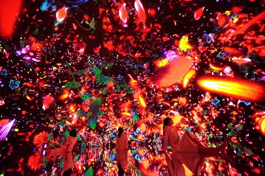 Tokyo: teamLab Planets TOKYO Digital Art Museum Entry Ticket - Is the 25 dollar ticket good value?