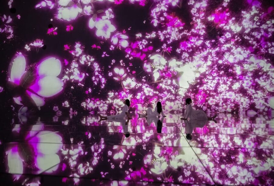 Tokyo: teamLab Planets TOKYO Digital Art Museum Entry Ticket - The Water Gallery: the most memorable section for many visitors