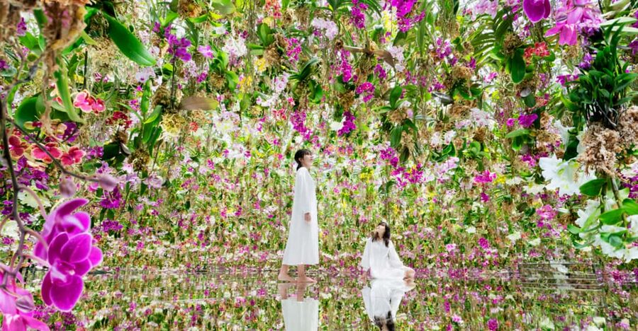 Tokyo: teamLab Planets TOKYO Digital Art Museum Entry Ticket - Falling flowers and the Flower Universe rooms