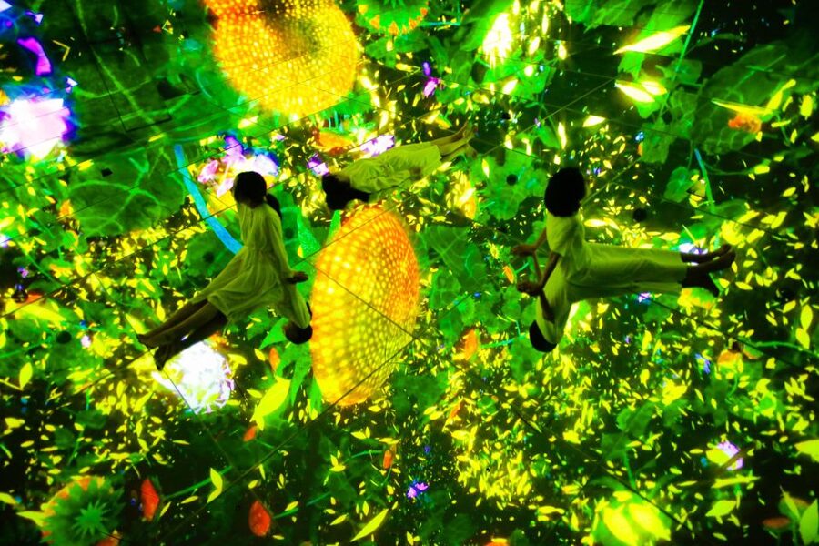 Tokyo: teamLab Planets TOKYO Digital Art Museum Entry Ticket - Why the five senses matter here
