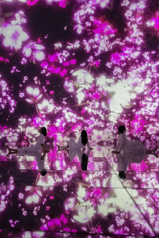 Tokyo: teamLab Planets TOKYO Digital Art Museum Entry Ticket - How long to allow and how to choose your entry time