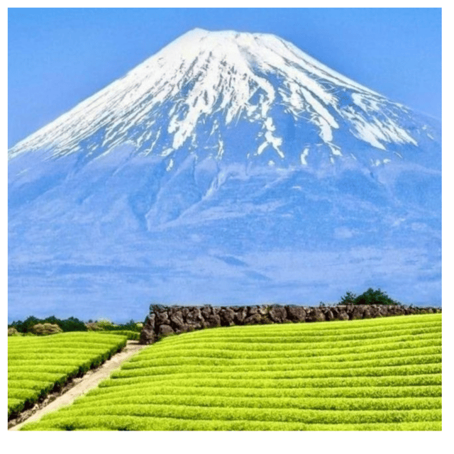 “Tokyo to Mt. Fuji & Hakone: Private Customizable Day Trip” - Mt. Fuji 5th Station: the highest road stop