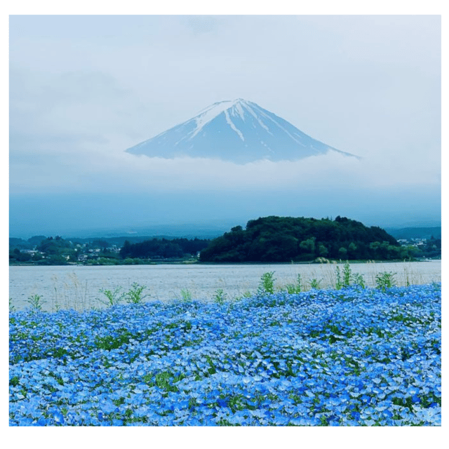 “Tokyo to Mt. Fuji & Hakone: Private Customizable Day Trip” - Chureito Pagoda and Arakurayama Sengen Park