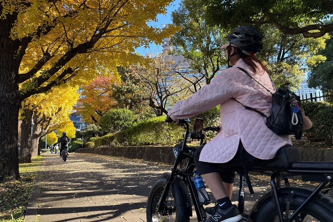 Tokyo Top Highlights 3h Guided E-bike Tour - Tokyo Bay Route: local shrines and sunset views