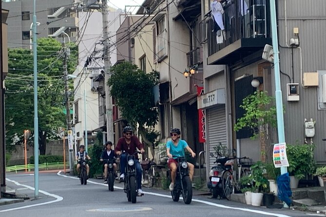 Tokyo Top Highlights 3h Guided E-bike Tour - What is included, and what is not
