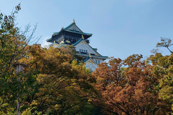Ultimate Osaka Walking Tour: Castle, Dotonbori & Hidden Gems - Osaka Castle grounds and the story of samurai Japan